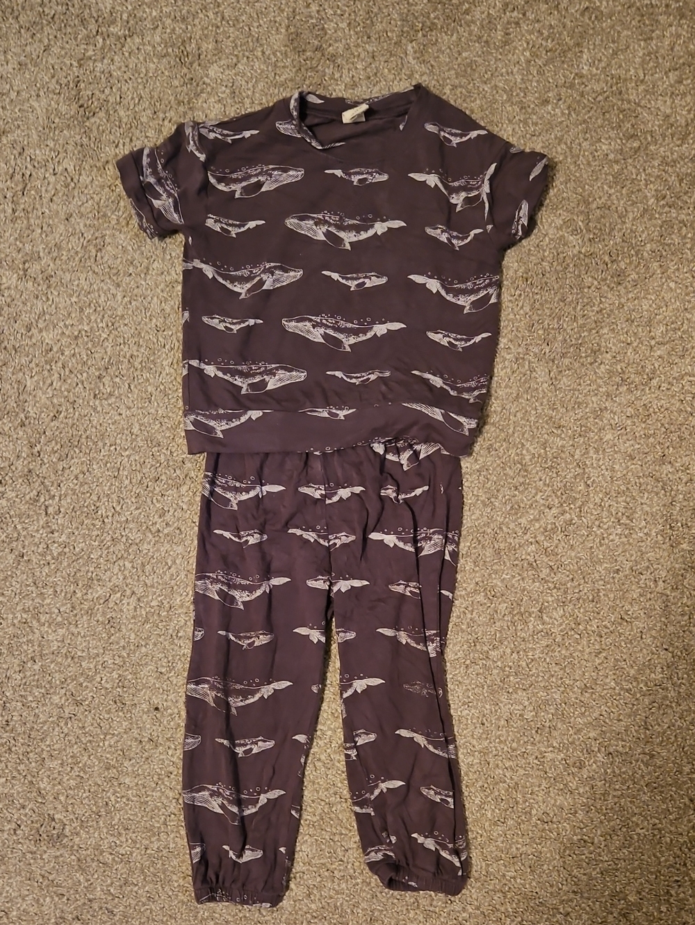 Kate Quinn 18-24M Bamboo Whale Top & Pants Set